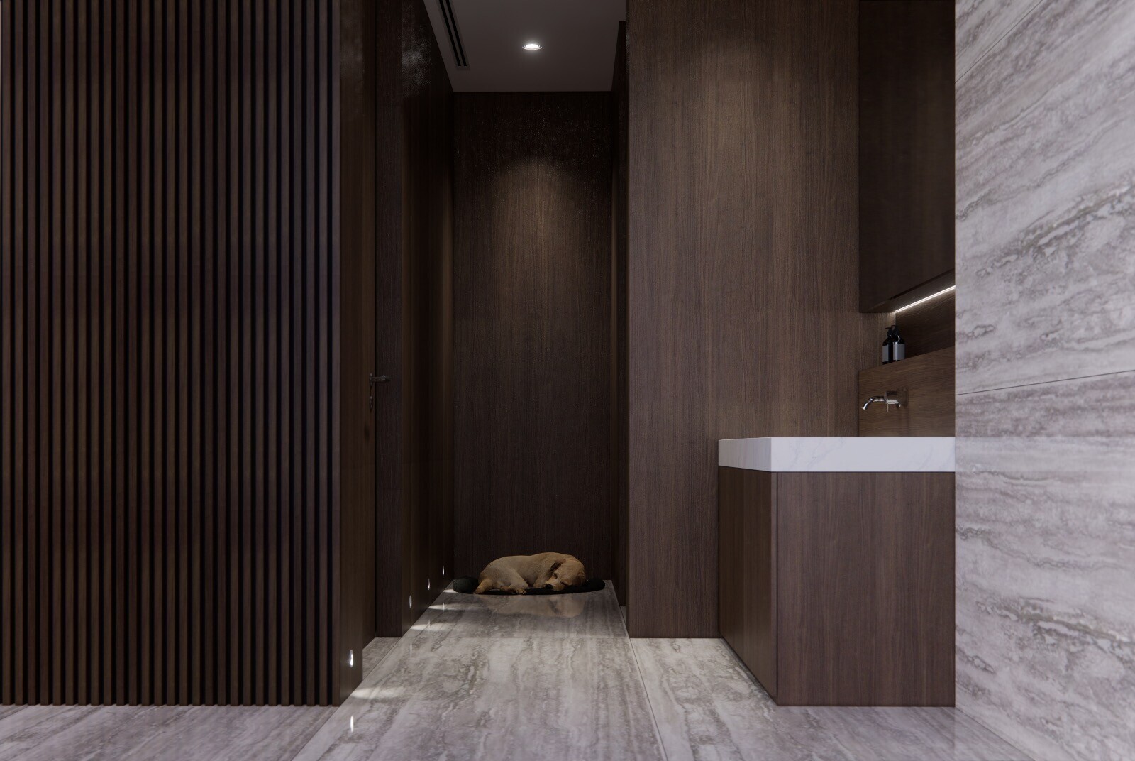 TAG Studio - Luxury / Glamorous - Hallway - Resale Landed - $100,000